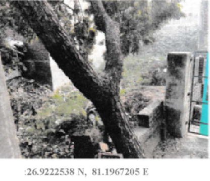 V P SINGHCONTR 228241